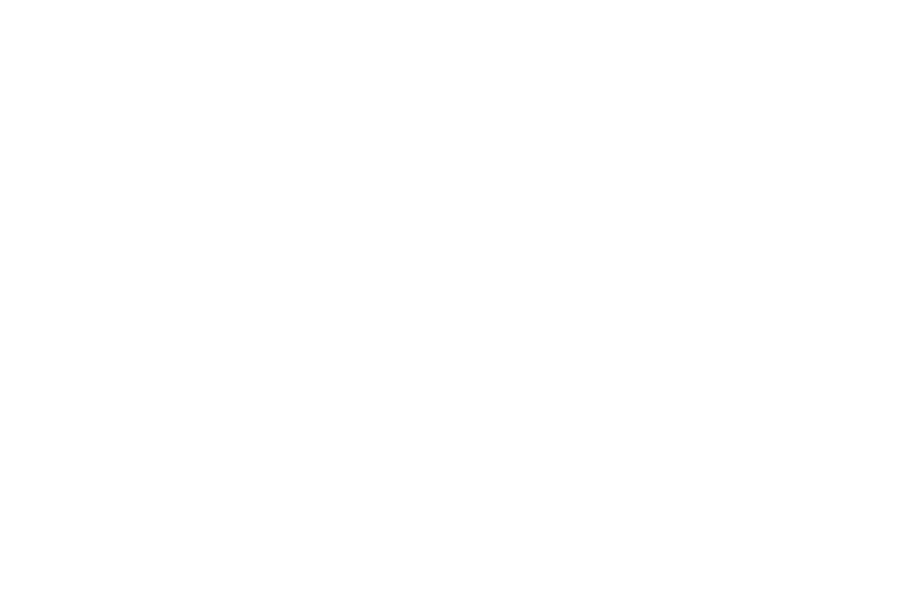 posrche